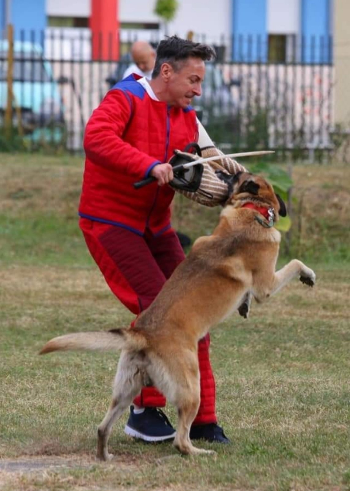 Vass Andor – oktató