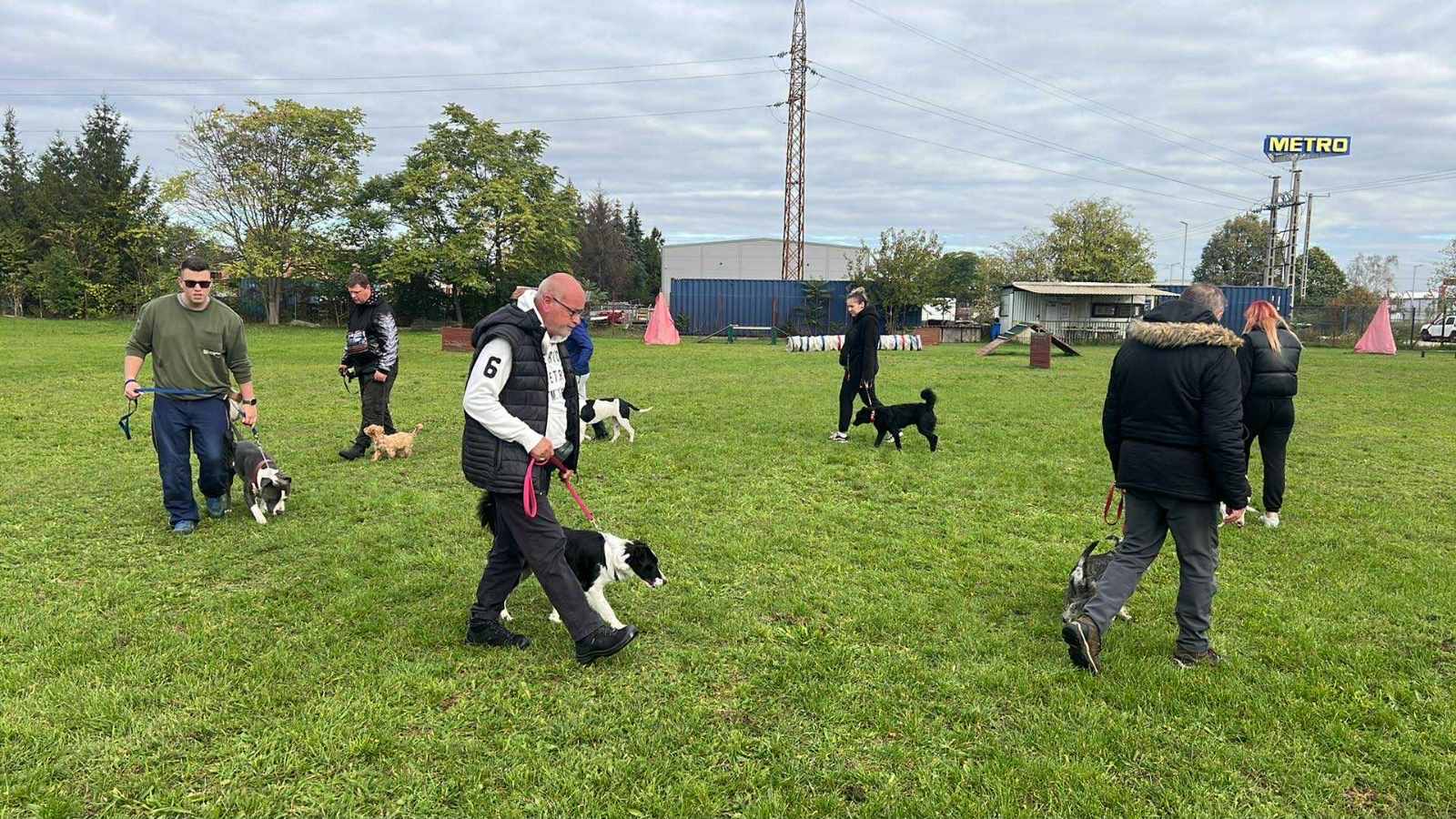 Kutyakiképzés és kutyaovi Miskolcon – Lucky-Dog kutyaiskola