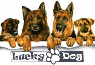 Kutyaiskola és Panzió Lucky-Dog