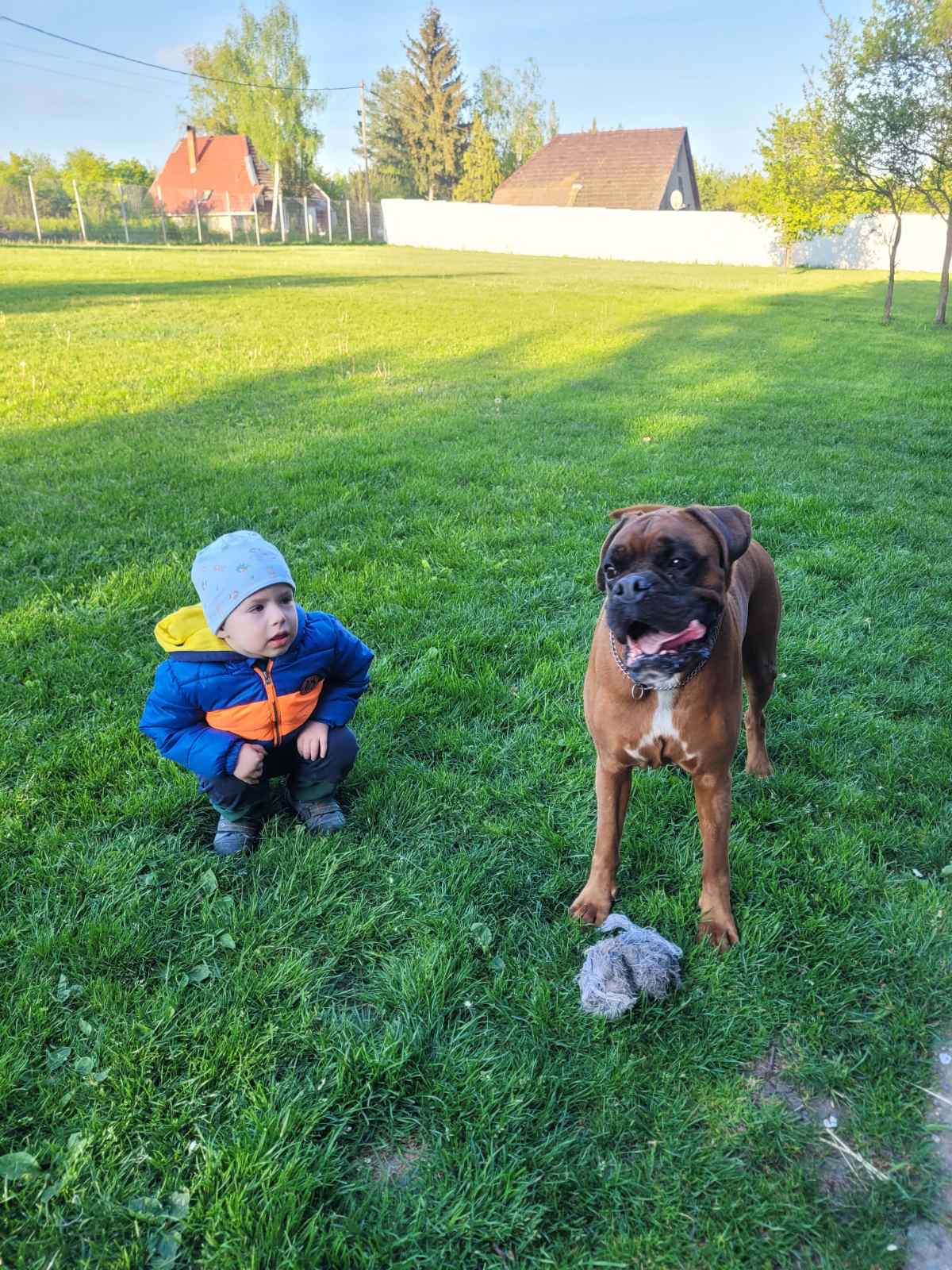Boldog kutyák a panziókifutón 1